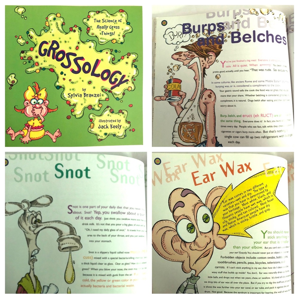 GROSSOLOGY - Picture 7 of 7